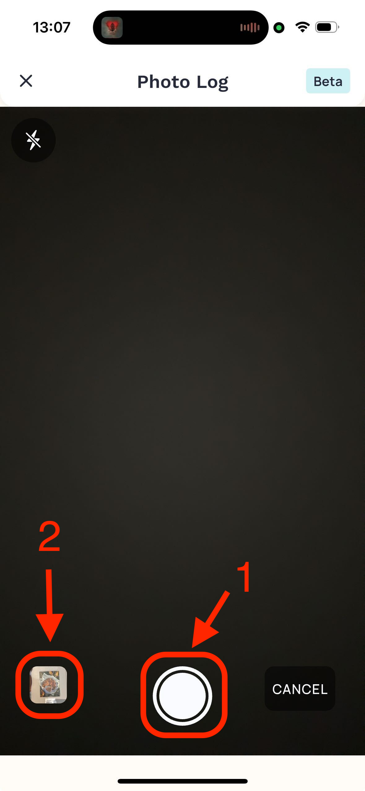 Photo capture — Help screenshot