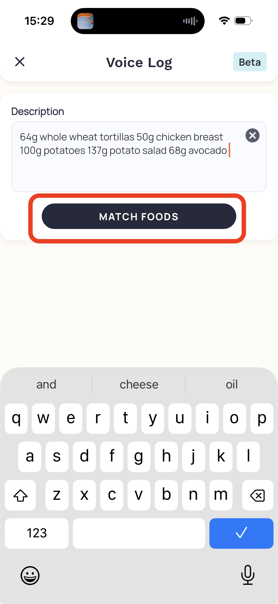 Typed Voice Log input — Help screenshot